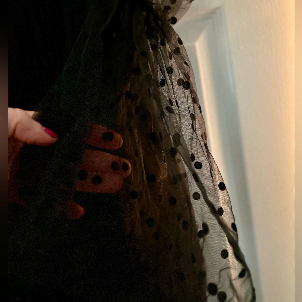 Black Midi Dress with Sheer Dotted Sleeves - Picture 5 of 10